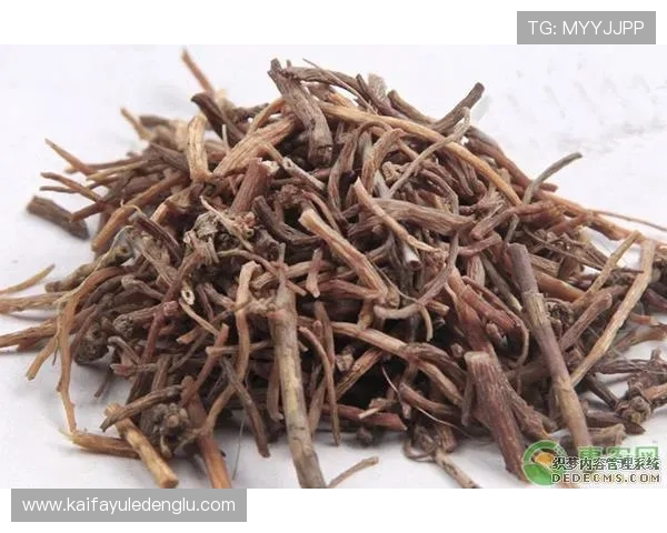 凯发旗舰厅APP注册流程详解帮助新手玩家快速顺利完成注册流程指南
